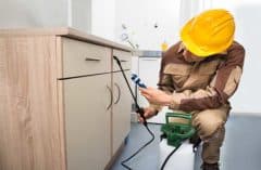 exterminator sprays kitchen cabinets
