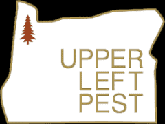Upper Left Pest
