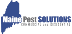 Maine Pest Solutions