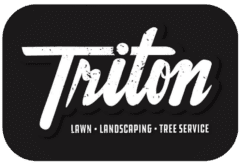 Triton Tree