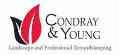 Condray