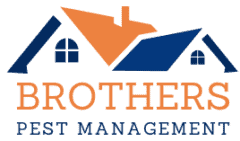Brothers Pest Management