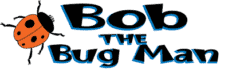 Bob The Bug Man