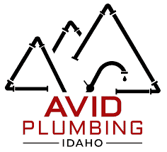 Avid Plumbing LLC