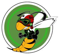 BEST PEST CONTROL
