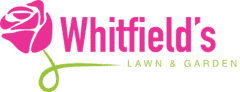 Whitfield's Lawn