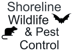 Shoreline Wildlife and Pest Control