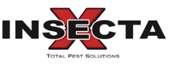 Insecta X Total Pest Solutions