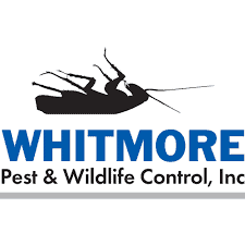 Whitmore Pest