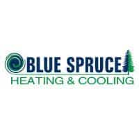 Blue Spruce