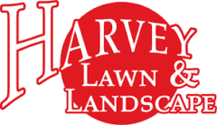 HARVEY LAWN