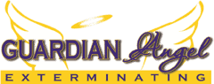 Guardian Angel Exterminating