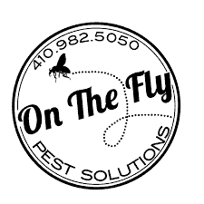 On The Fly Pest Solutions