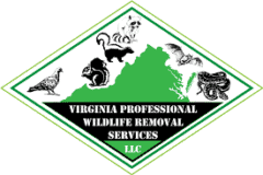 Virginia Professional Wildlife Removal Services, LLC