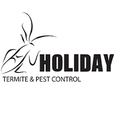 Holiday Termite