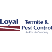 Loyal Termite
