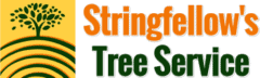 Stringfellow's Tree Service