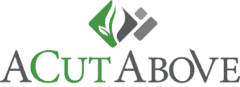 A Cut Above