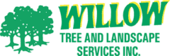 WILLOW TREE