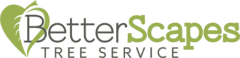 BetterScapes Tree Service
