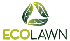 Eco Lawn