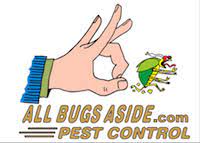 All Bugs Aside Termite