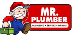 Mr. Plumber by Metzler