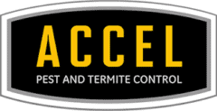 Accel Pest