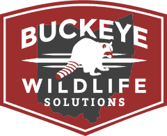 Buckeye Wildlife Solutions