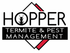 Hopper Termite