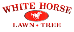 White Horse Lawn