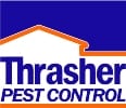 Thrasher Termite