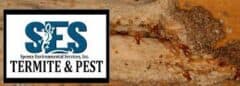 Ses Termite