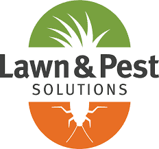 Lawn