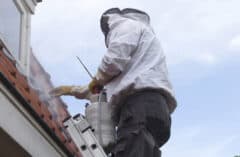 integrated pest management - IPM - exclusion